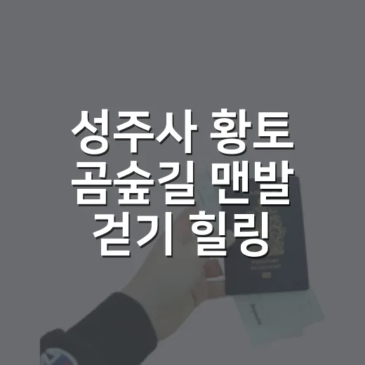 성주사 황토 곰숲길 맨발 걷기 힐링 체험