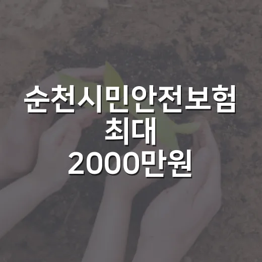 순천시민안전보험 최대 2000만원 보장
