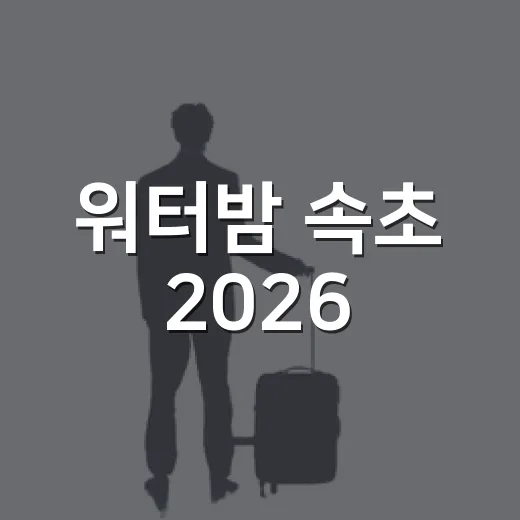 워터밤 속초 2026, 밤까지 즐기는 속초의 매력