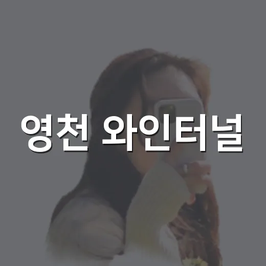 영천 와인터널, 여름 실내 여행 명소
