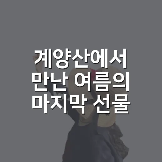 계양산에서 만난 여름의 마지막 선물
