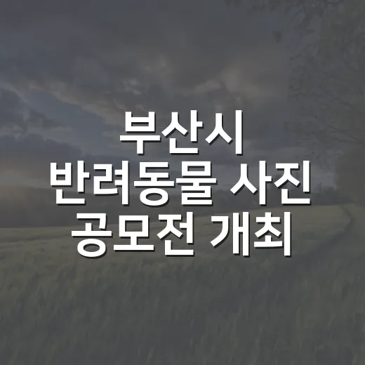 부산시 반려동물 사진 공모전 개최