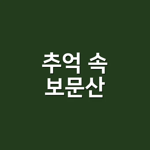 추억 속 보문산, 사진으로 되살리다