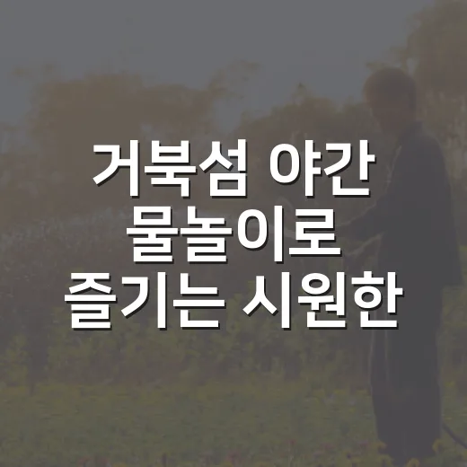 거북섬 야간 물놀이로 즐기는 시원한 여름밤