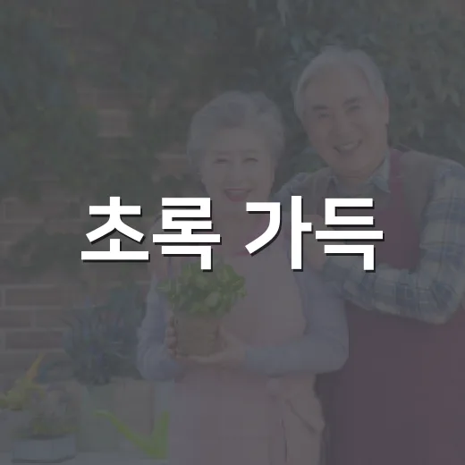 초록 가득, 마포구 반려식물 프로그램