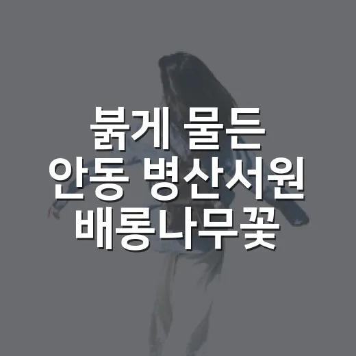 붉게 물든 안동 병산서원 배롱나무꽃 절경