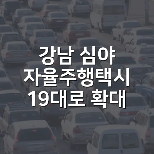 강남 심야 자율주행택시 19대로 확대 운행