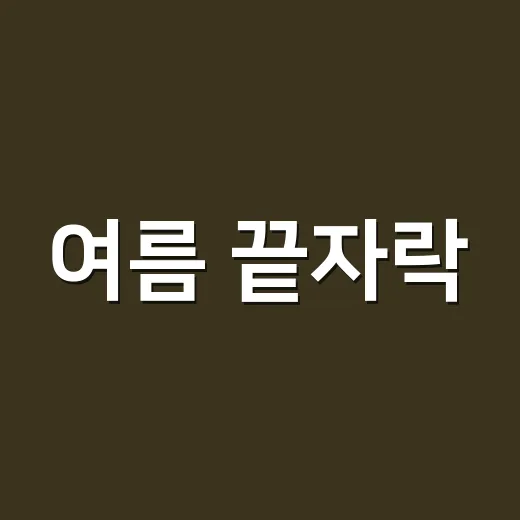 여름 끝자락, 장안살롱에서 책과 함께하는 밤