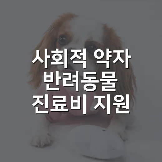 사회적 약자 반려동물 진료비 지원 확대