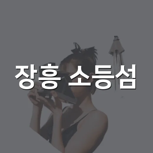 장흥 소등섬, 바닷길과 일출의 비밀