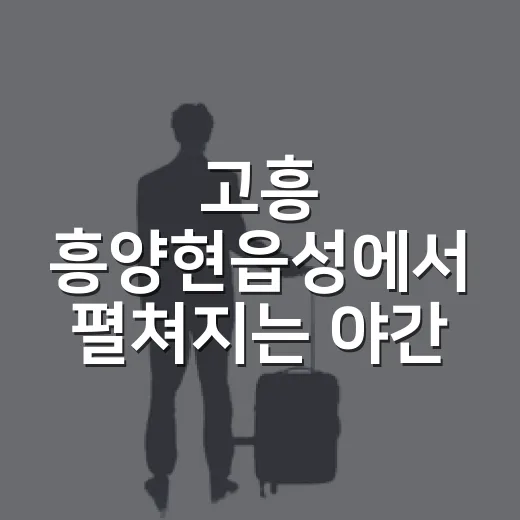 고흥 흥양현읍성에서 펼쳐지는 야간 문화축제