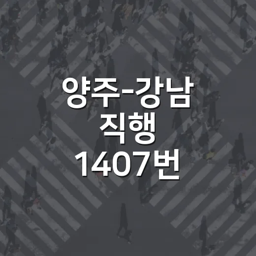 양주-강남 직행 1407번 버스 체험기