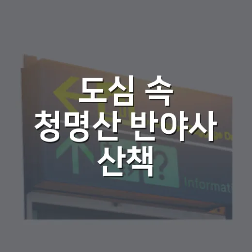 도심 속 청명산 반야사 산책