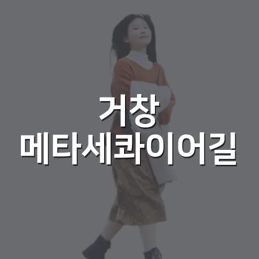거창 메타세콰이어길, 아침저녁 산책 명소