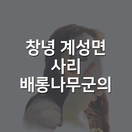 창녕 계성면 사리 배롱나무군의 여름 풍경