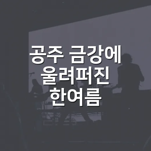 공주 금강에 울려퍼진 한여름 맥주축제 열기