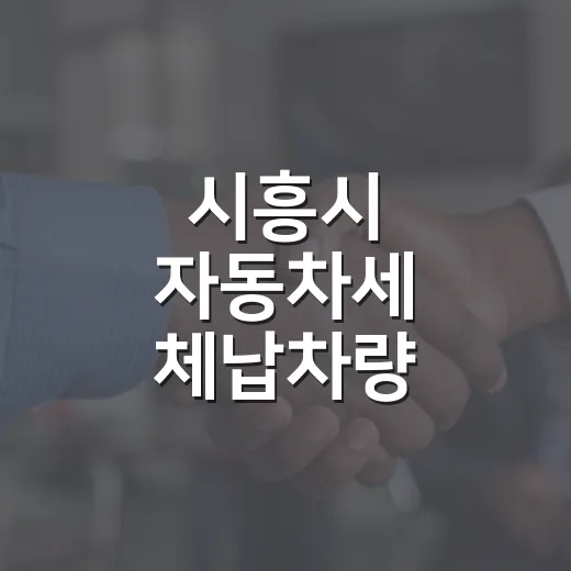 시흥시 자동차세 체납차량 번호판 영치 집중 실시