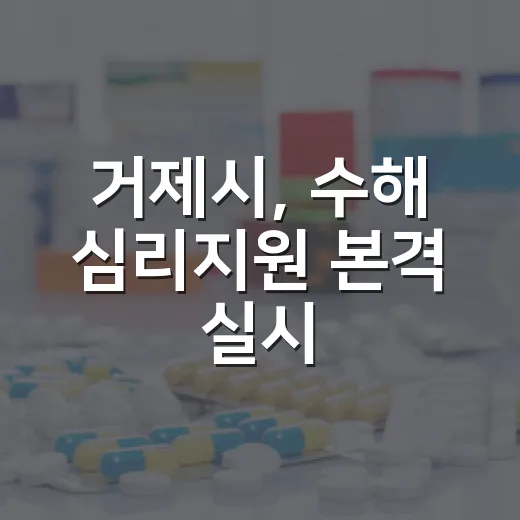 거제시, 수해 심리지원 본격 실시