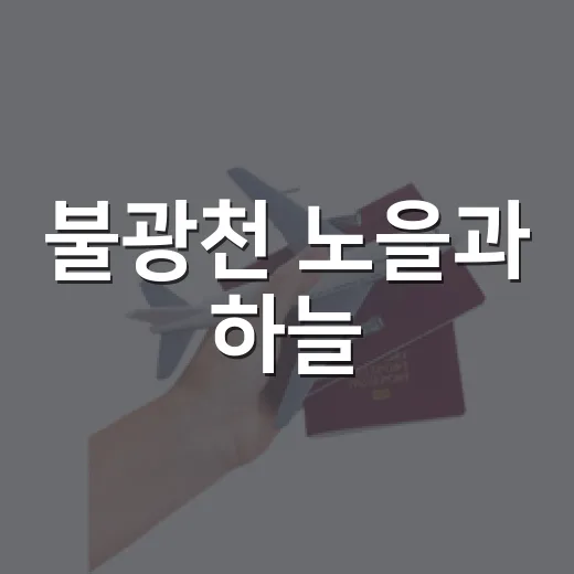불광천 노을과 하늘, 여름 풍경의 매력