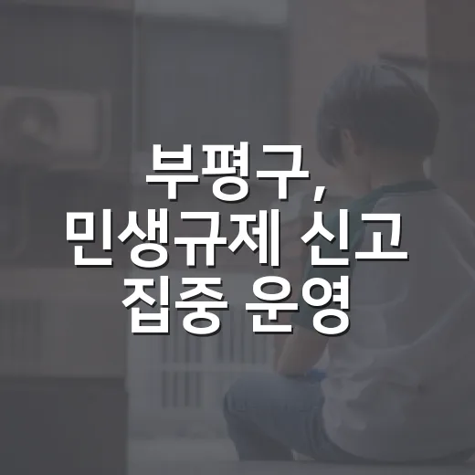 부평구, 민생규제 신고 집중 운영