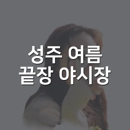 성주 여름 끝장 야시장, 8월 29일 성주시장에서 개최