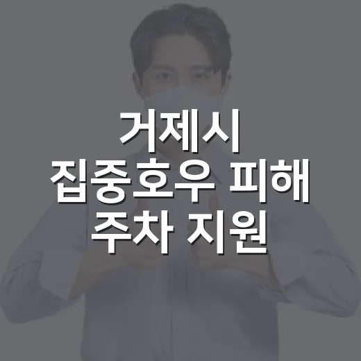 거제시 집중호우 피해 주차 지원 대책 발표