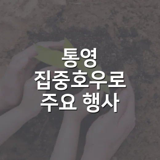 통영 집중호우로 주요 행사 취소·연기