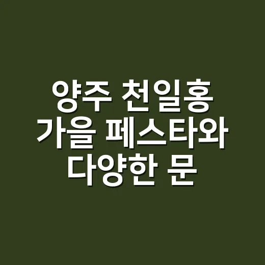 양주 천일홍 가을 페스타와 다양한 문화행사 소식
