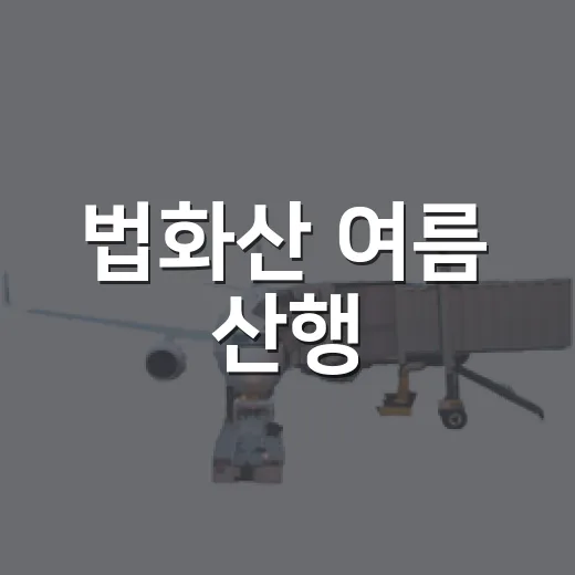 법화산 여름 산행, 초록 그늘 속 힐링 여정
