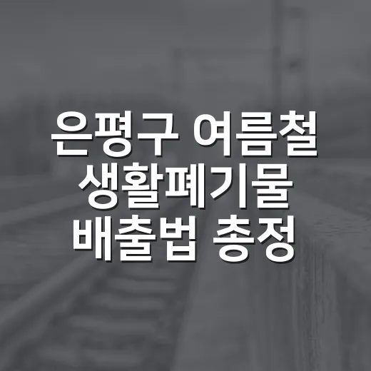 은평구 여름철 생활폐기물 배출법 총정리