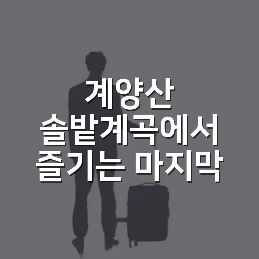 계양산 솔밭계곡에서 즐기는 마지막 여름