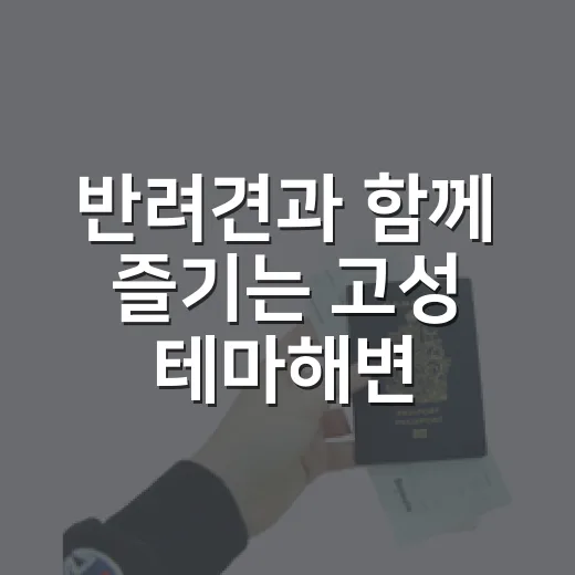 반려견과 함께 즐기는 고성 테마해변