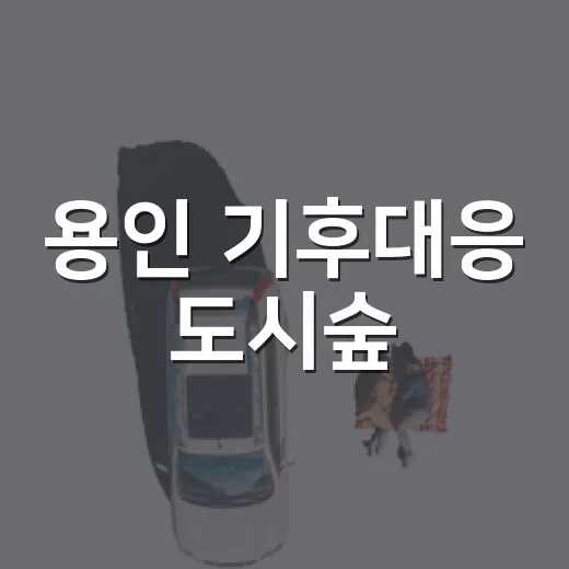 용인 기후대응 도시숲, 도심 속 자연 힐링 명소