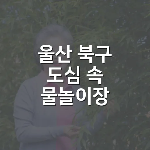 울산 북구 도심 속 물놀이장 송정대리근린공원
