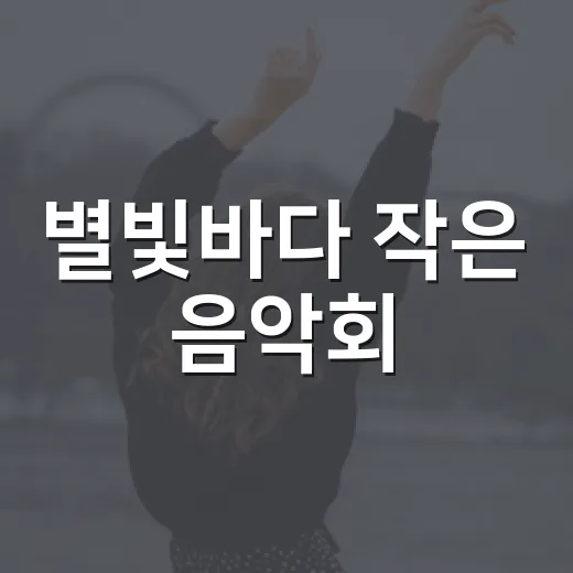 별빛바다 작은 음악회, 한여름 밤의 감동