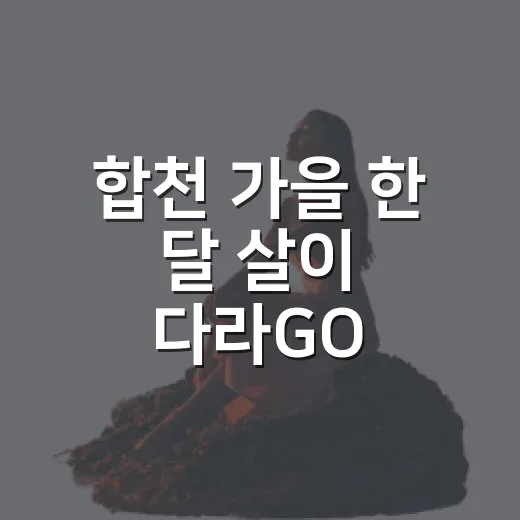 합천 가을 한 달 살이 ‘다라GO! 스테이’ 참가자 모집