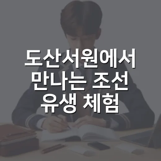 도산서원에서 만나는 조선 유생 체험