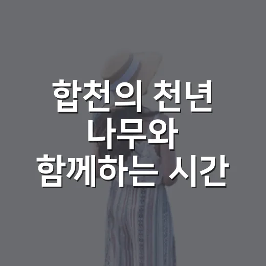 합천의 천년 나무와 함께하는 시간 여행