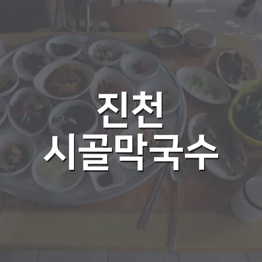 진천 시골막국수, 여름철 별미 막국수 명소