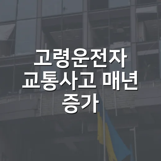 고령운전자 교통사고 매년 증가, 안전수칙 필수