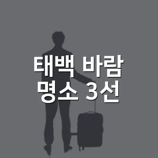 태백 바람 명소 3선