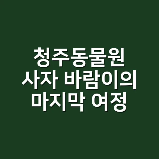 청주동물원 사자 바람이의 마지막 여정