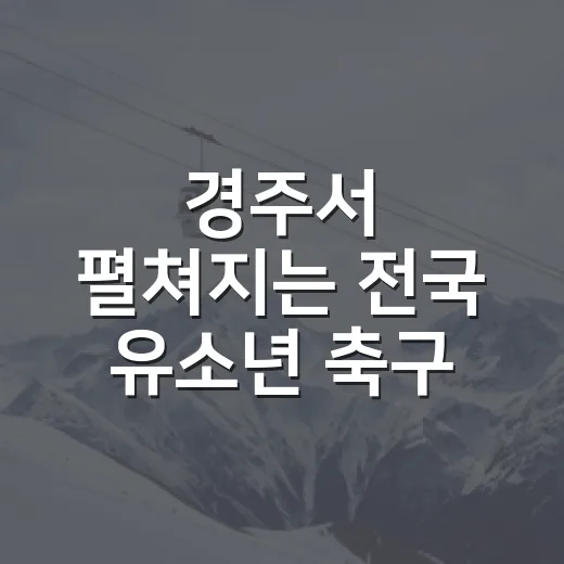경주서 펼쳐지는 전국 유소년 축구 열전