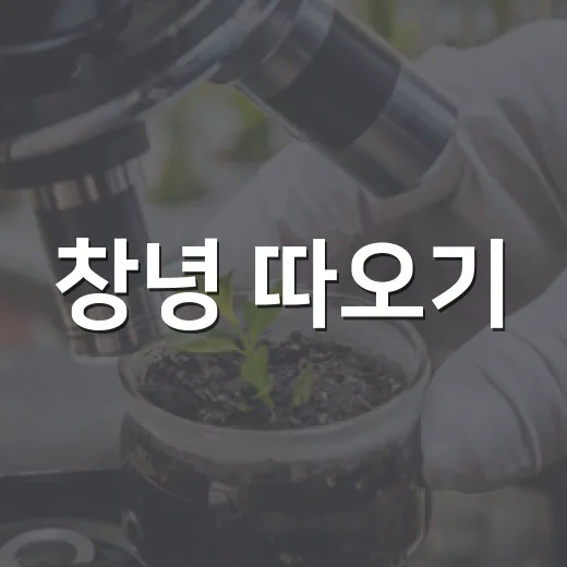 창녕 따오기, 포천까지 날아간 자연의 기적