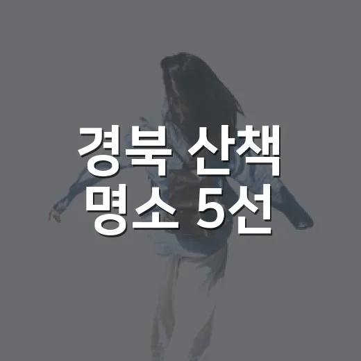 경북 산책 명소 5선, 바람 따라 걷다