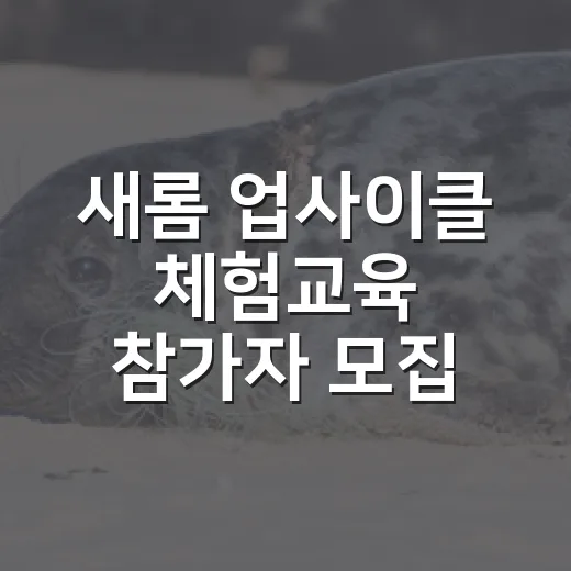 새롬 업사이클 체험교육 참가자 모집