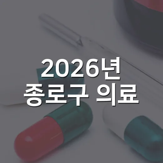 2026년 종로구 의료·요양 통합돌봄 서비스 안내