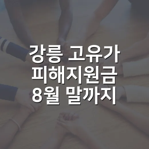 강릉 고유가 피해지원금 8월 말까지 사용하세요