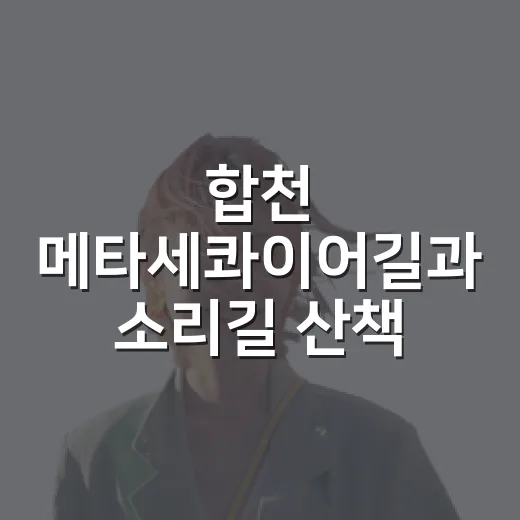 합천 메타세콰이어길과 소리길 산책