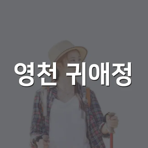영천 귀애정, 연꽃과 한옥의 고요한 만남